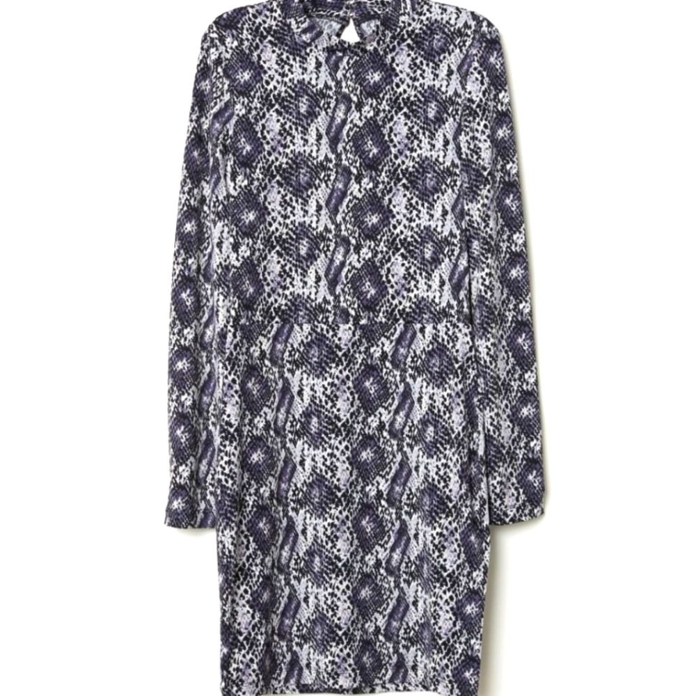 H&M Snakeskin Dress